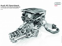 Audi A5 Sportback 2009 photo