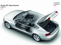 Audi A5 Sportback 2009 photo